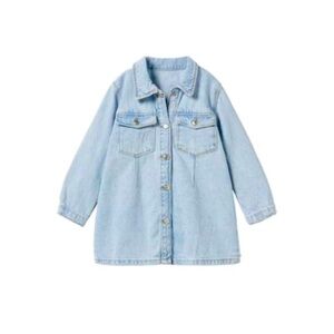 Zara Toddler Long Sleeve Denim Dress